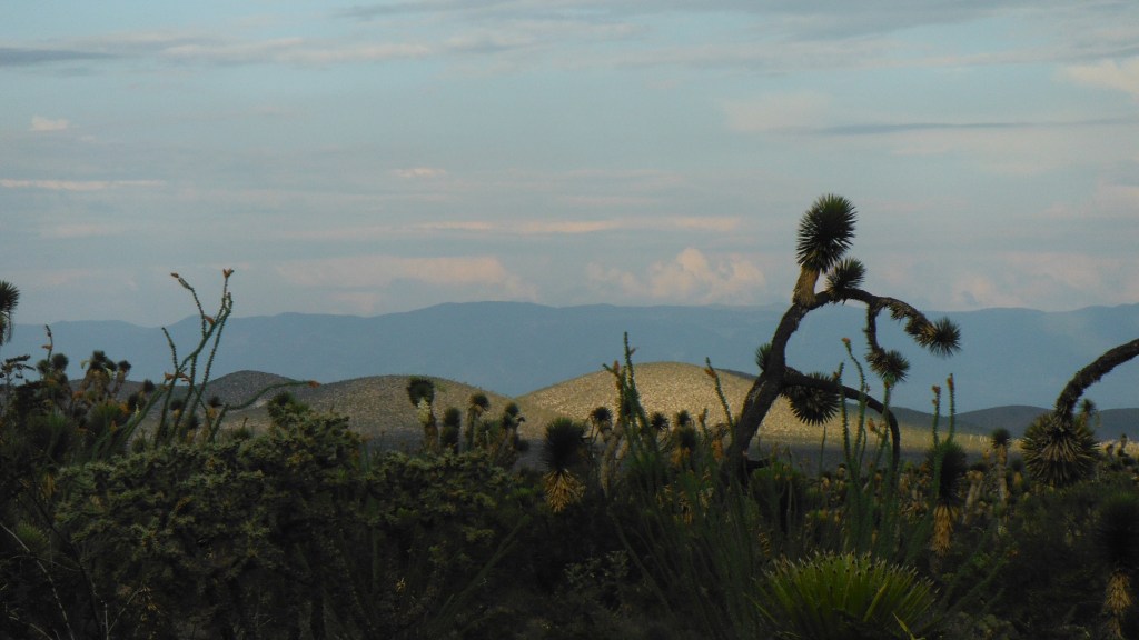 el desierto y la búsqueda de uno&nbsp;mismo