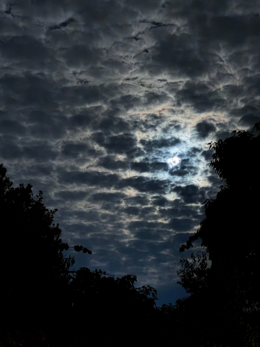 cómo recordar tus&nbsp;sueños…